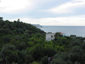 Antico agrumeto a mare
